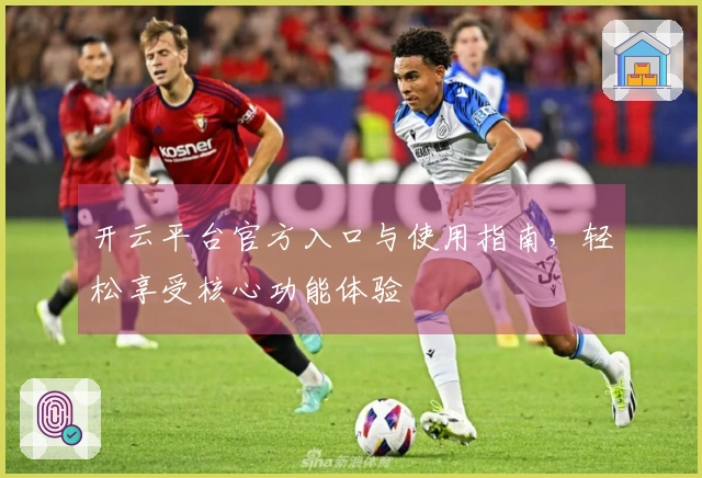 开云平台官方入口与使用指南，轻松享受核心功能体验