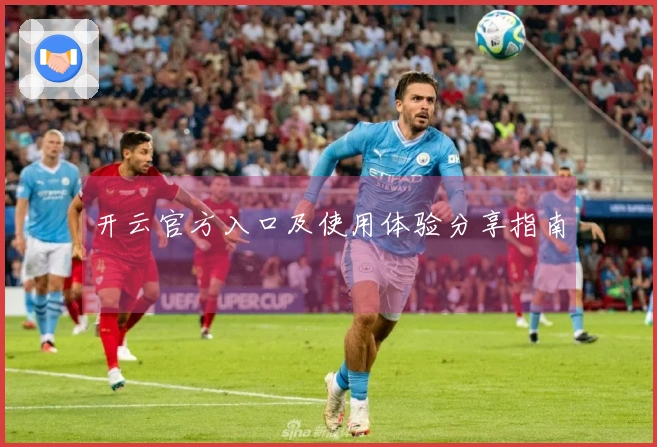 开云官方入口及使用体验分享指南